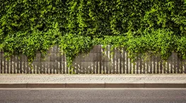 Rua plana e tranquila